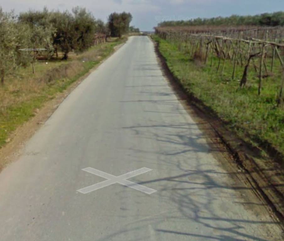 immagine annuncio 1 di 11
