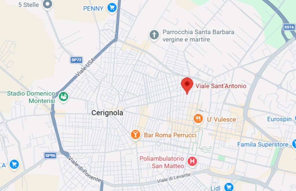 immagine annuncio 2 di 11