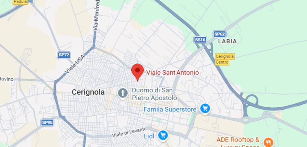 immagine annuncio 3 di 11