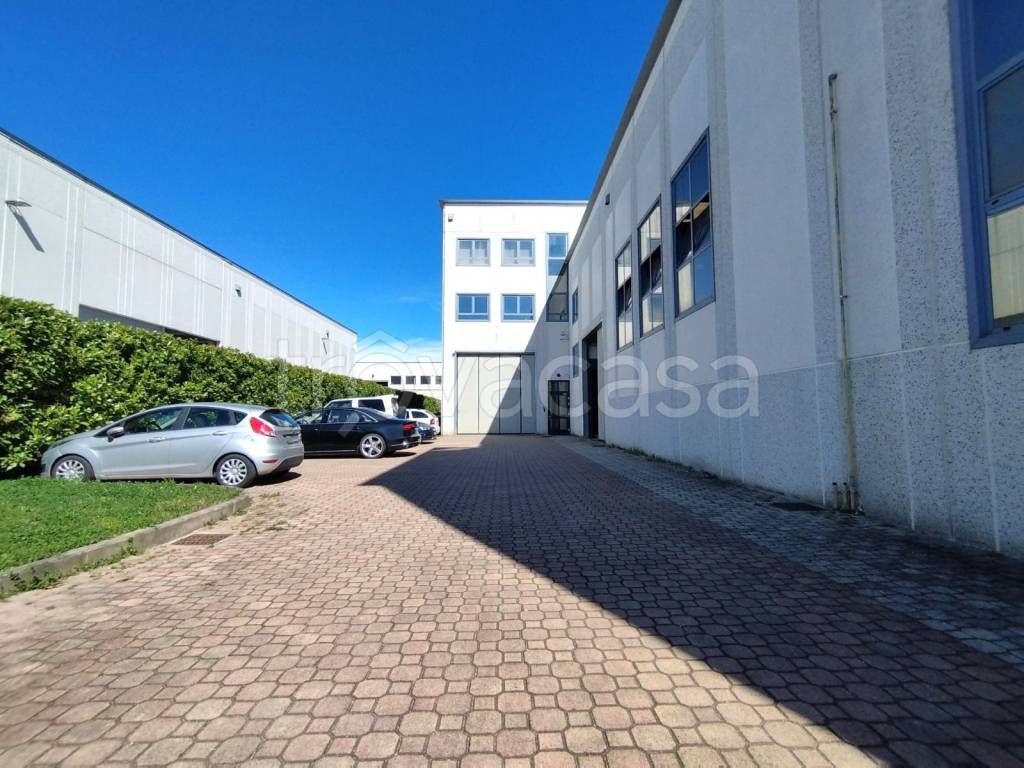 immagine annuncio 7 di 15