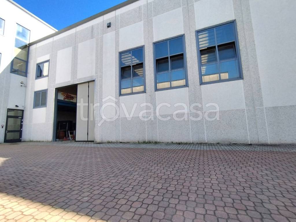 immagine annuncio 9 di 15