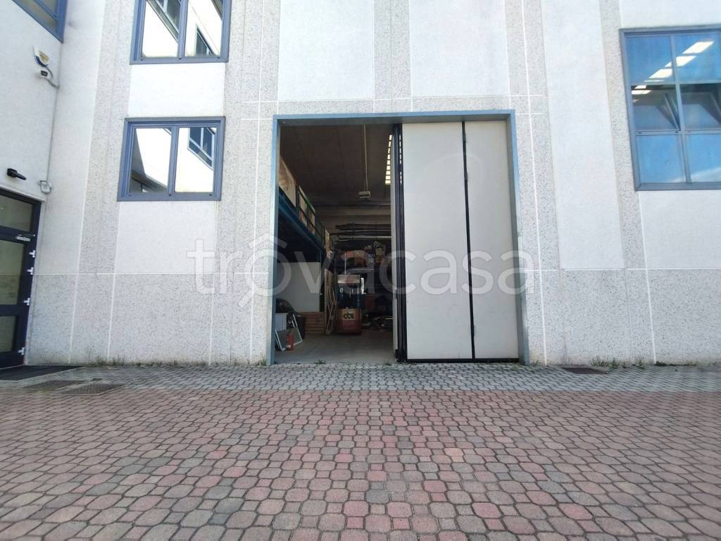 immagine annuncio 11 di 15