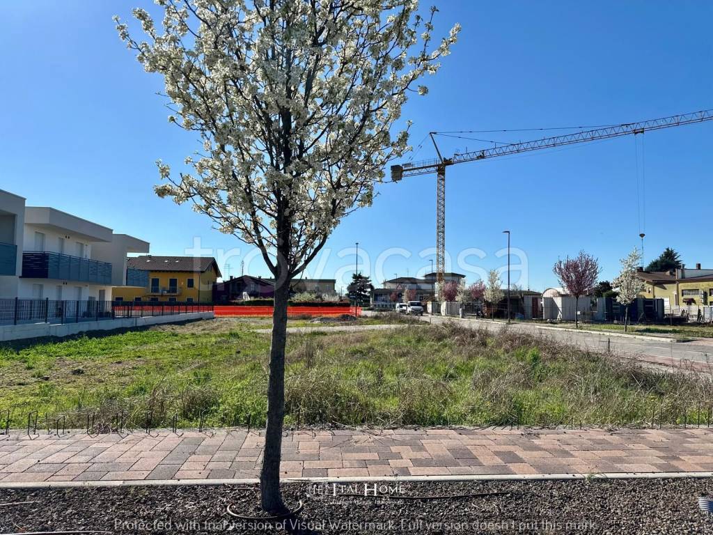 immagine annuncio 11 di 15