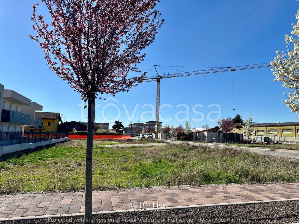 immagine annuncio 12 di 15