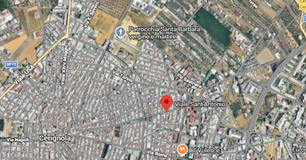 immagine annuncio 5 di 11