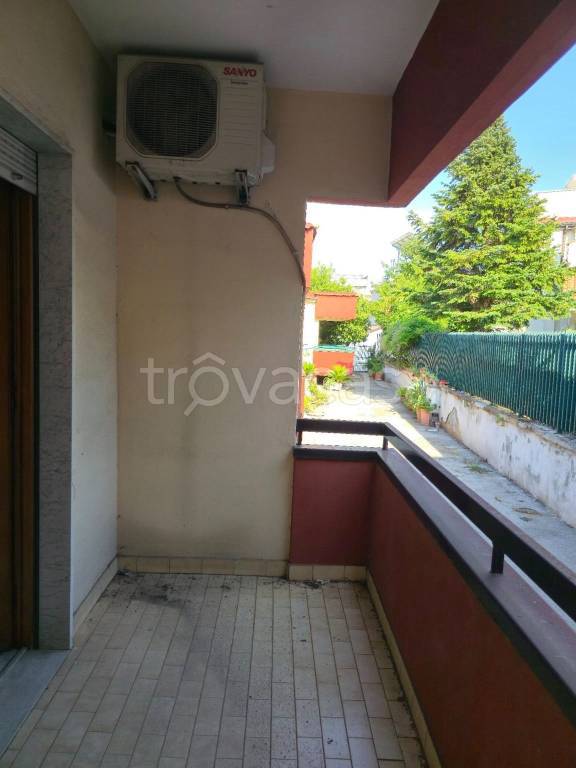 immagine annuncio 11 di 14