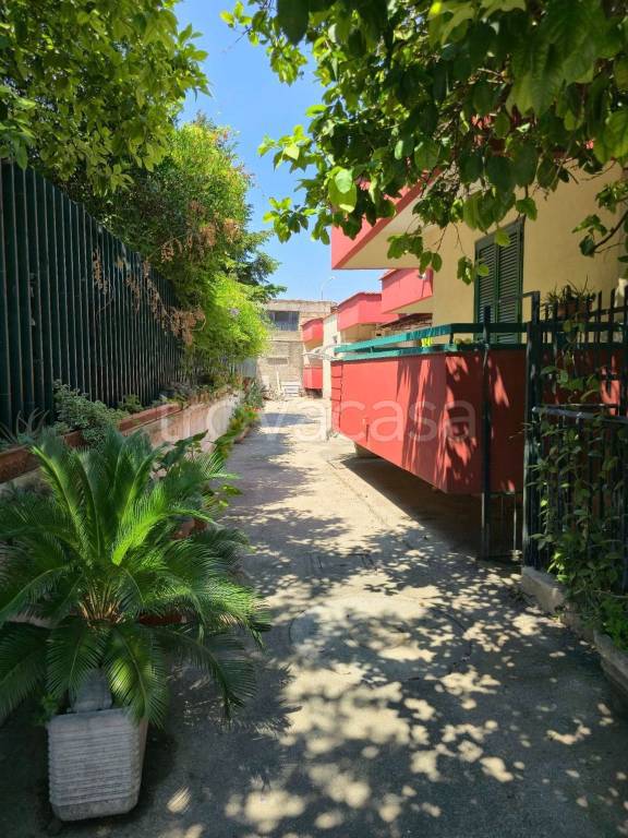 immagine annuncio 13 di 14