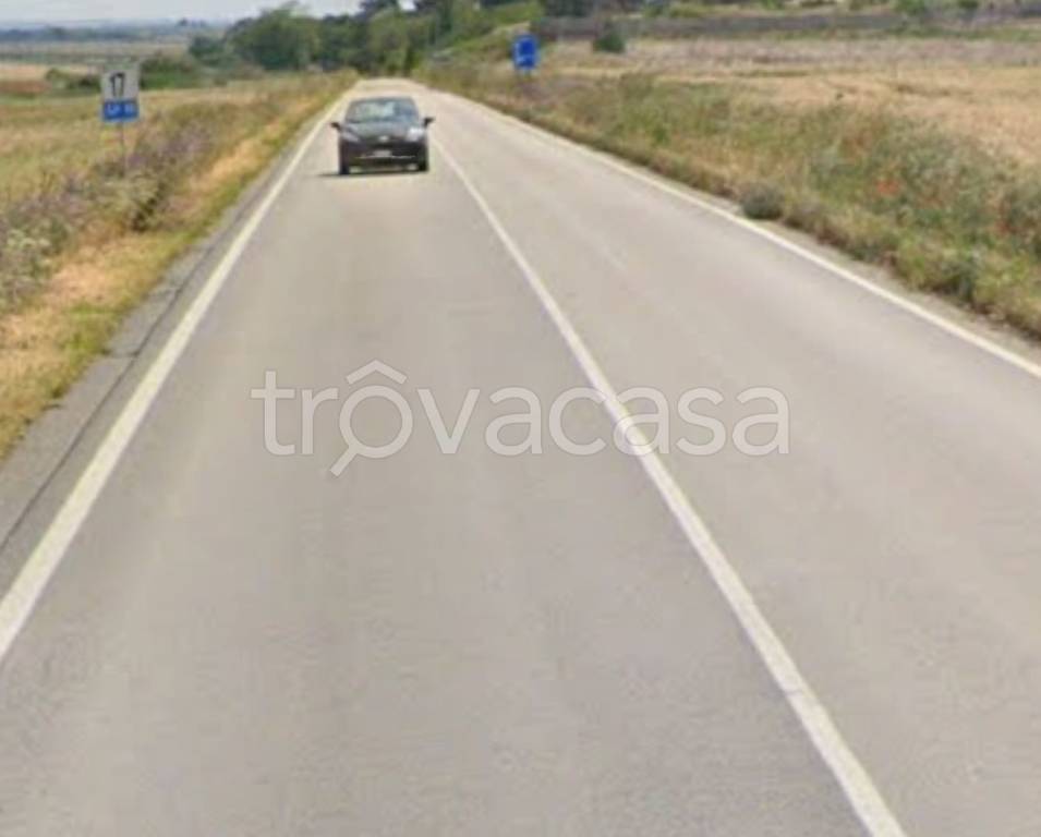 immagine annuncio 8 di 11