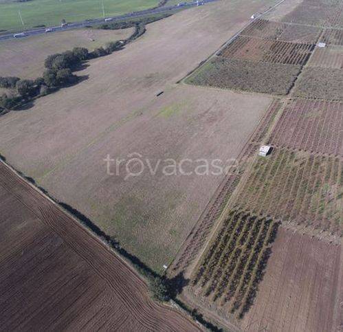 immagine annuncio 2 di 6