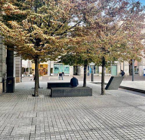 immagine annuncio 4 di 6