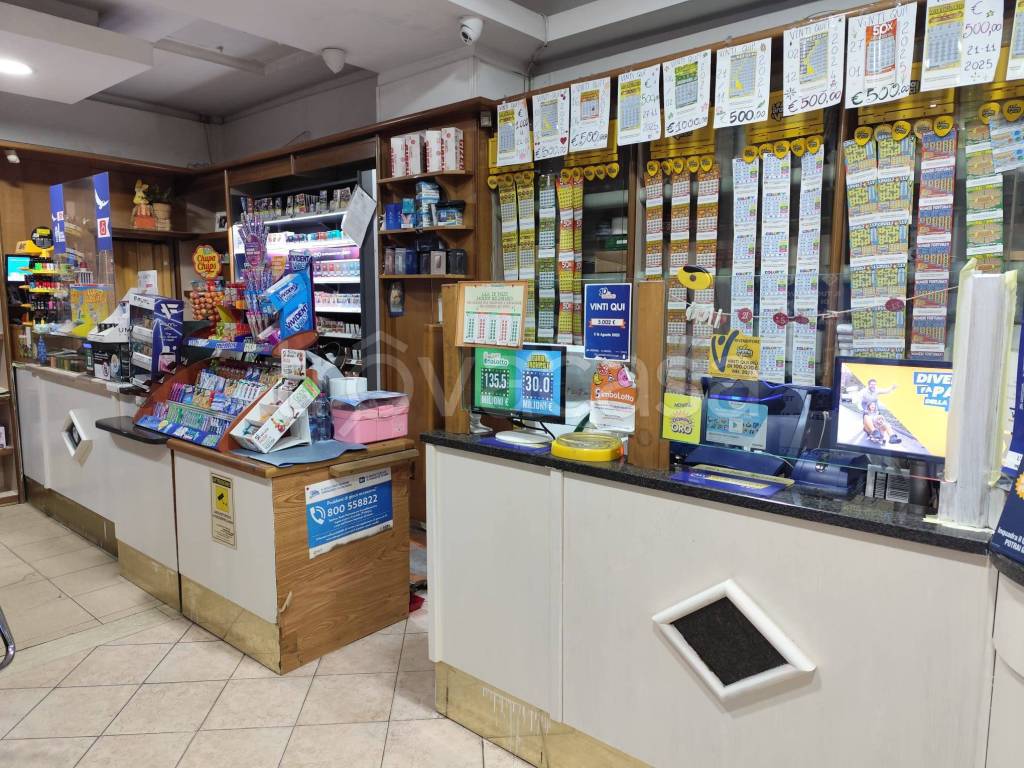 immagine annuncio 6 di 11