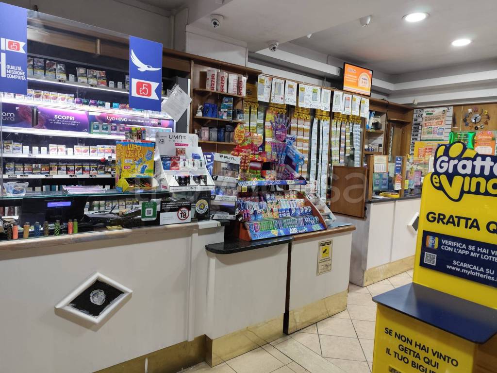 immagine annuncio 10 di 11