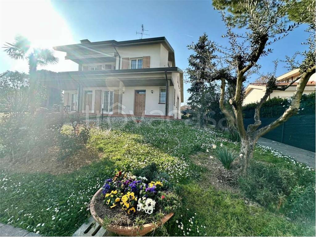 immagine annuncio 8 di 15