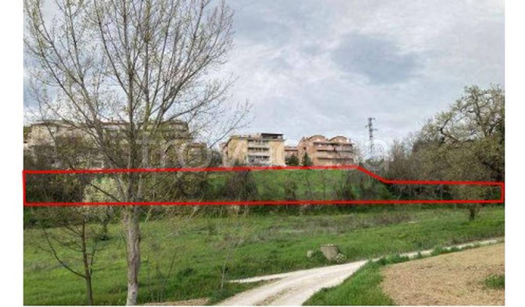 immagine annuncio 7 di 13