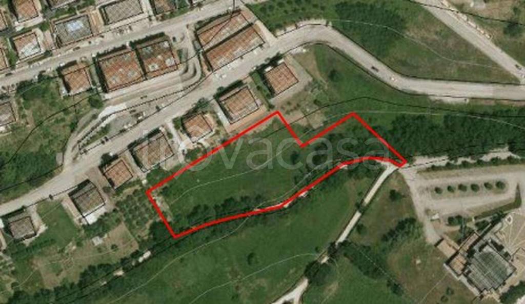 immagine annuncio 9 di 13