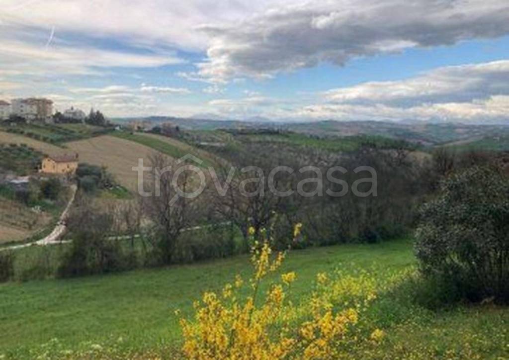 immagine annuncio 11 di 13