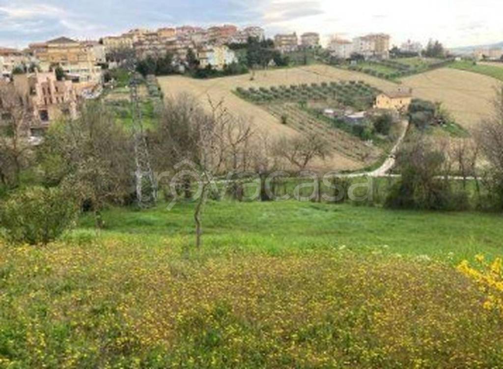 immagine annuncio 12 di 13