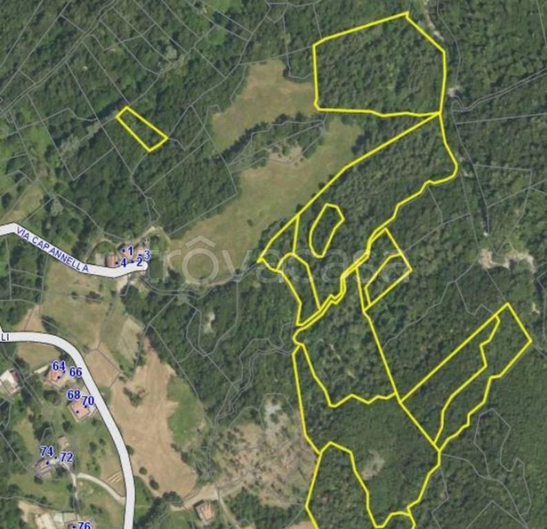 immagine annuncio 8 di 10