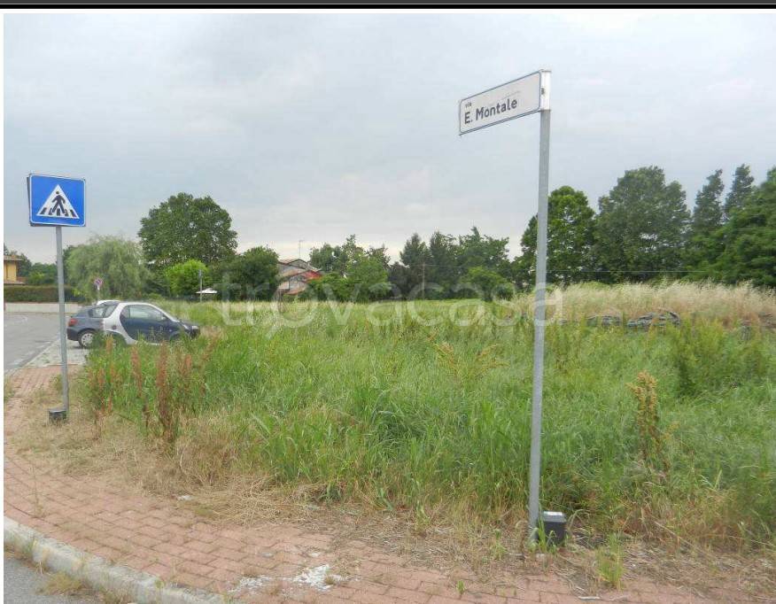 immagine annuncio 2 di 7