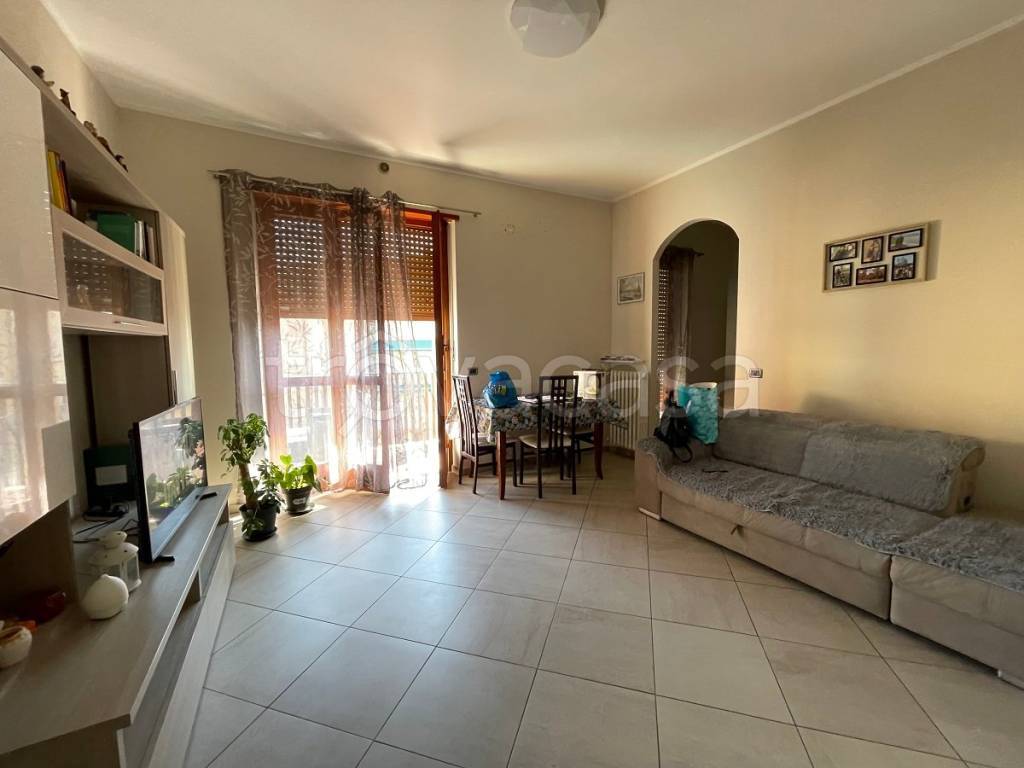 immagine annuncio 1 di 14