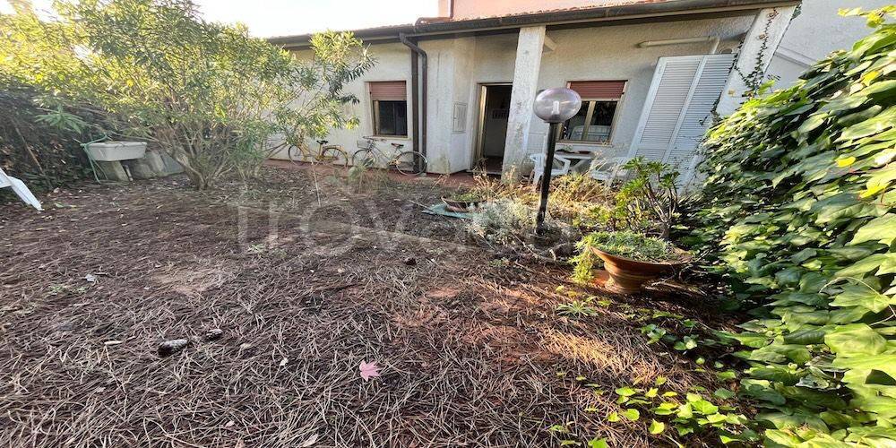 immagine annuncio 2 di 7