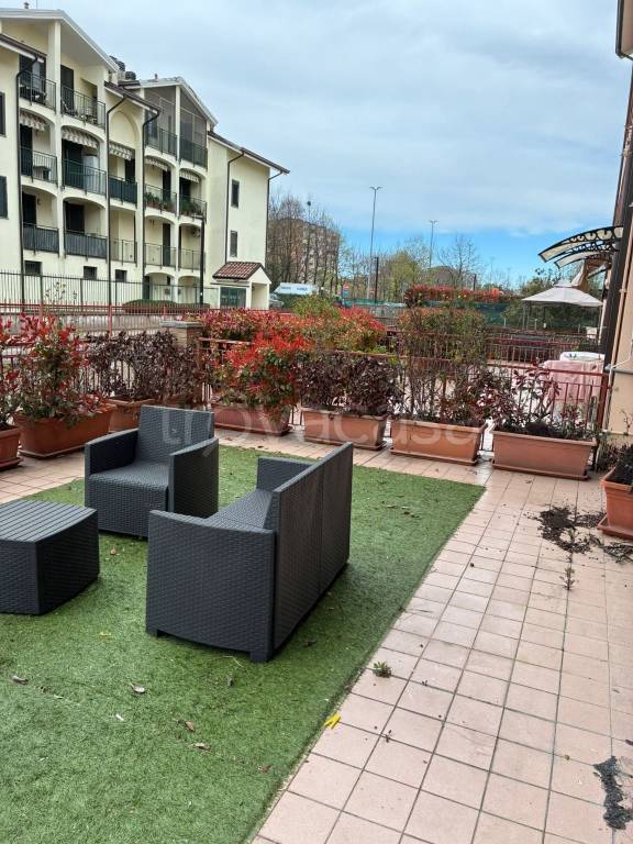 immagine annuncio 4 di 15