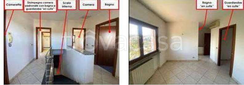 immagine annuncio 3 di 6