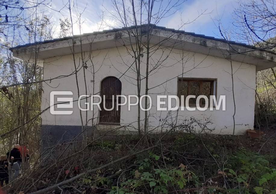 immagine annuncio 2 di 9