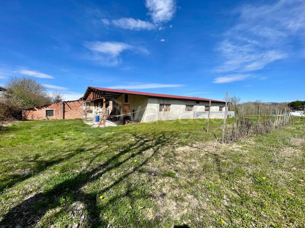 immagine annuncio 4 di 15