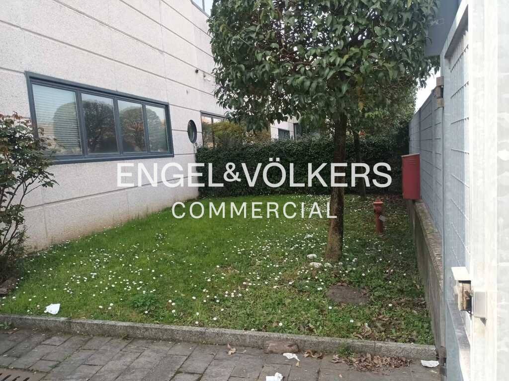 immagine annuncio 11 di 14