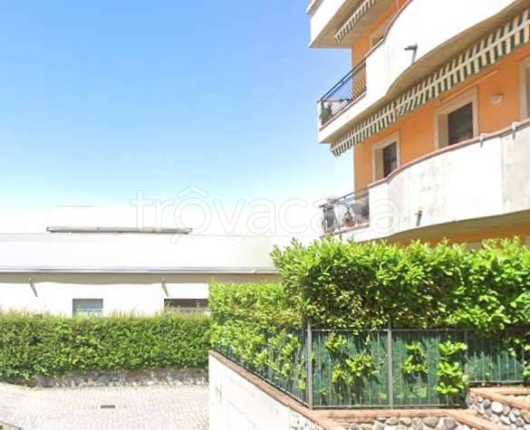 immagine annuncio 3 di 8