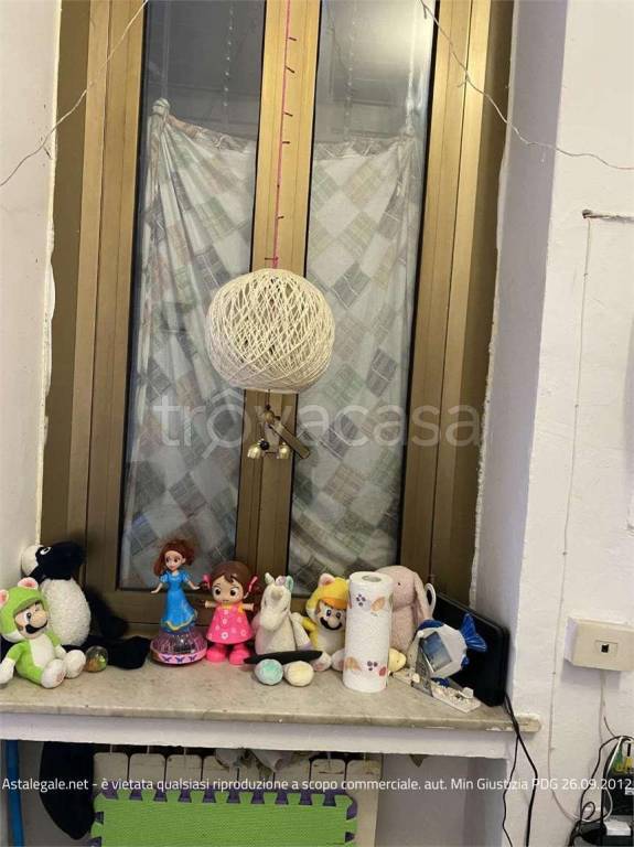 immagine annuncio 5 di 14