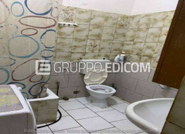 immagine annuncio 10 di 14