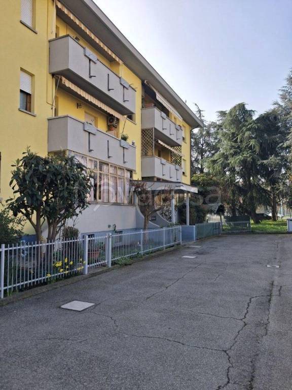 immagine annuncio 1 di 13