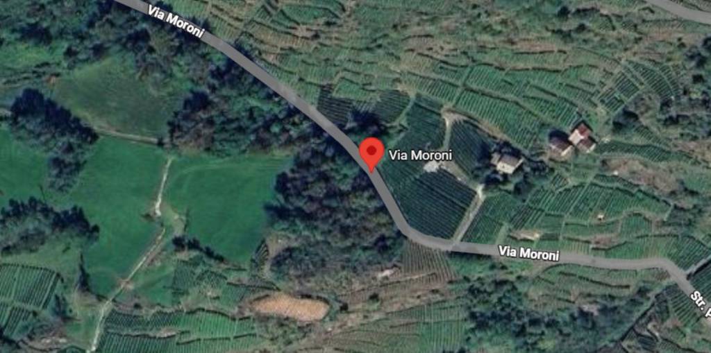 immagine annuncio 9 di 12