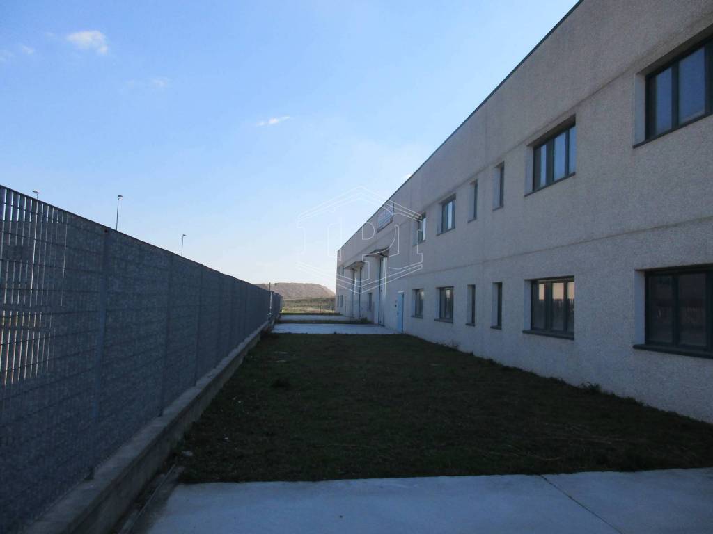 immagine annuncio 1 di 11