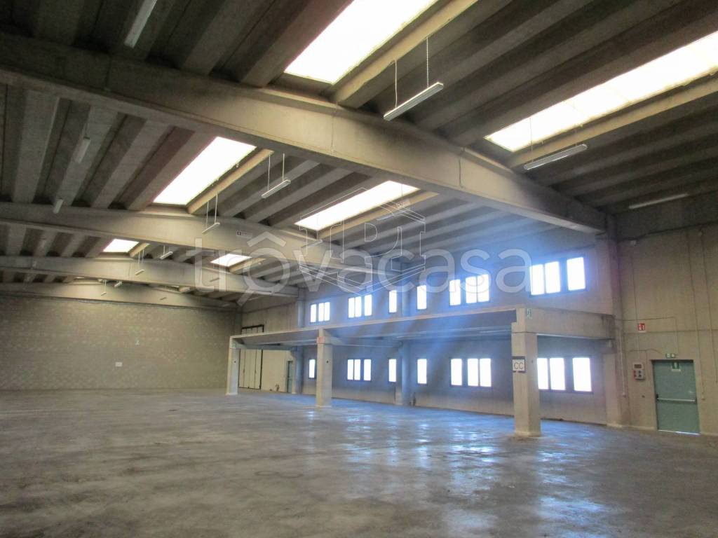 immagine annuncio 6 di 11