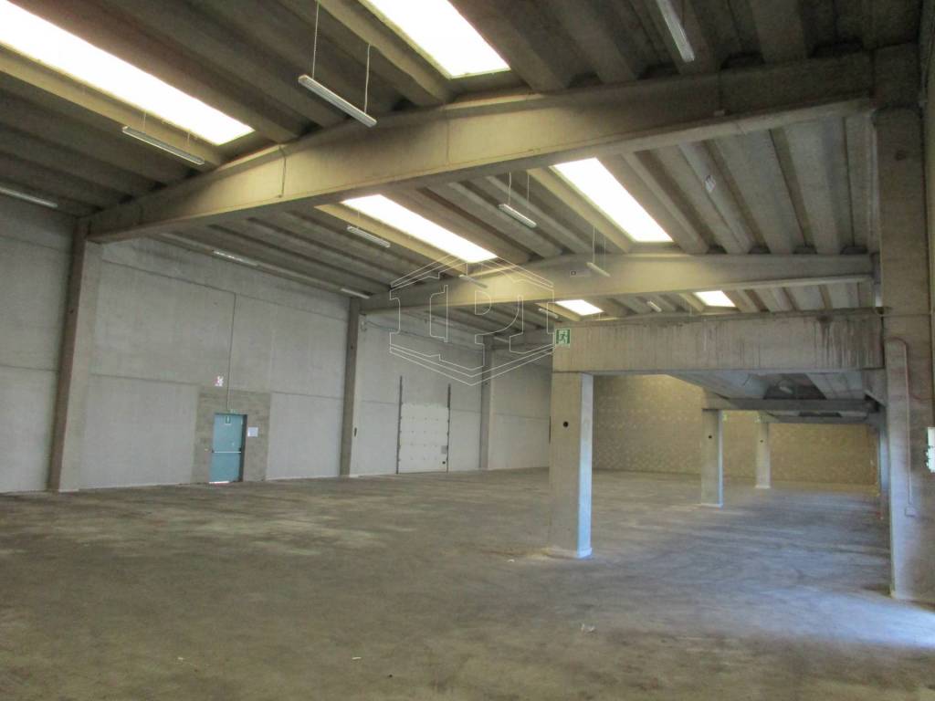 immagine annuncio 7 di 11