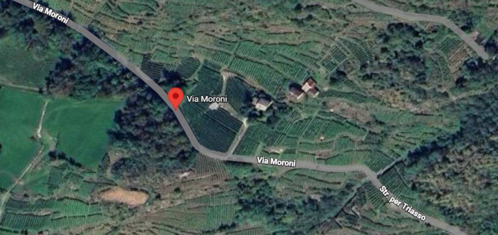 immagine annuncio 10 di 12