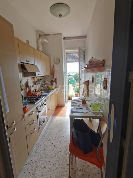 immagine annuncio 4 di 14