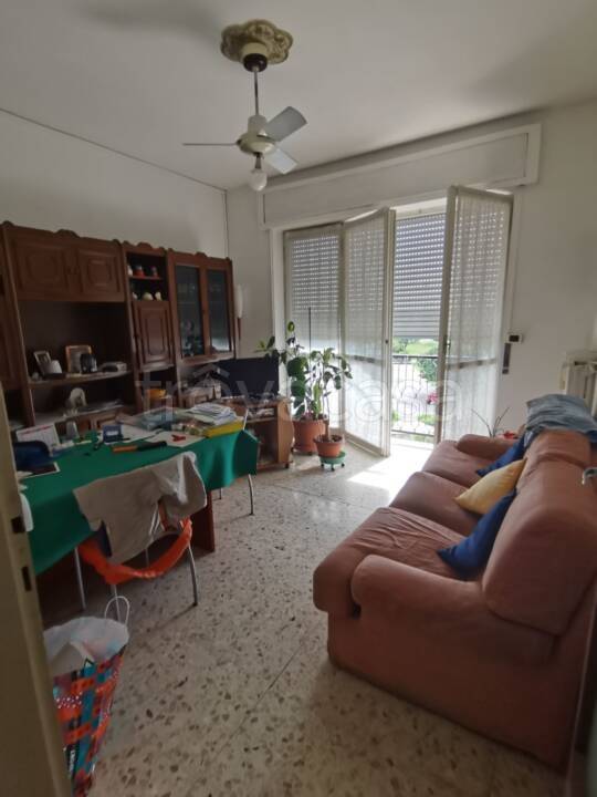 immagine annuncio 6 di 14