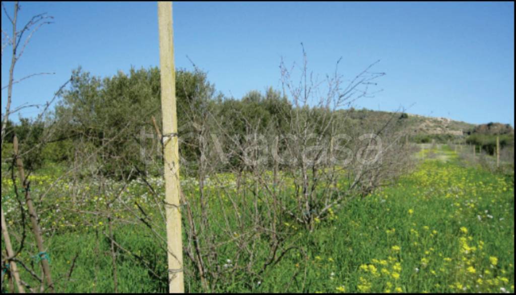 immagine annuncio 6 di 13