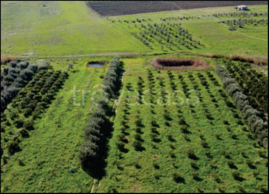 immagine annuncio 10 di 13