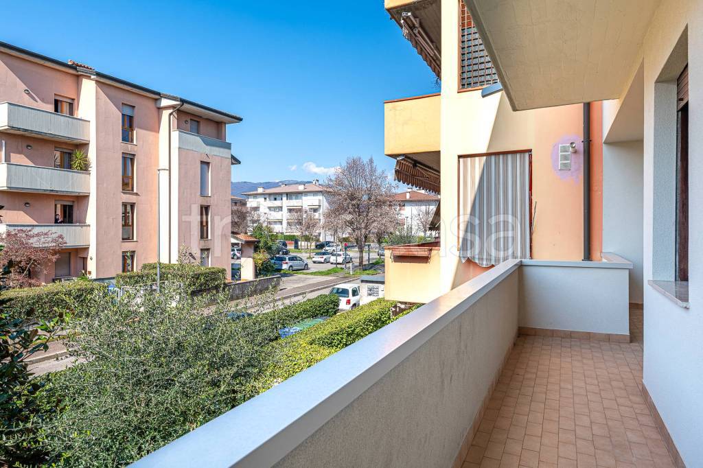 immagine annuncio 3 di 14