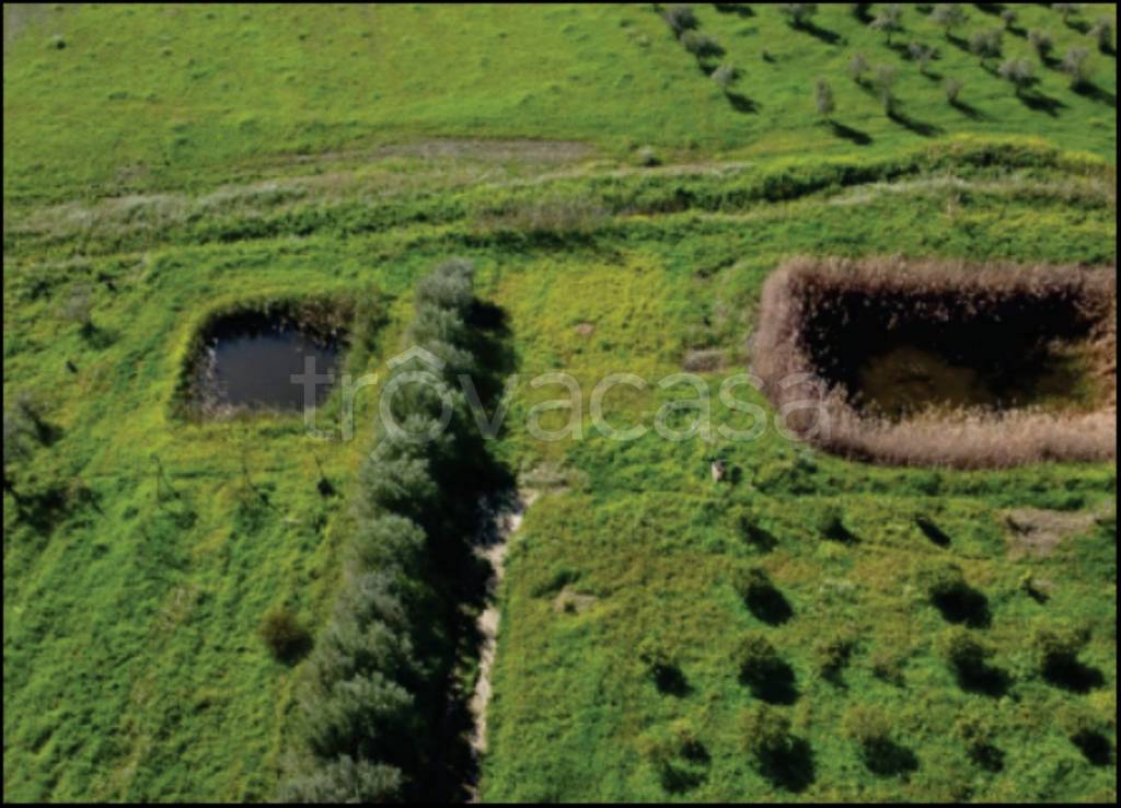 immagine annuncio 11 di 13