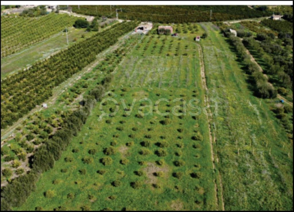 immagine annuncio 12 di 13