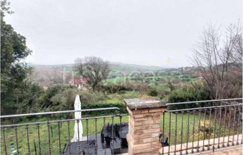 immagine annuncio 2 di 9