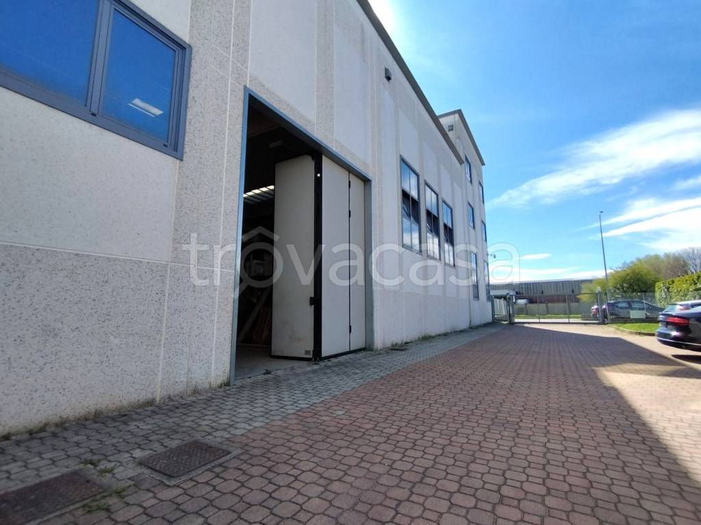 immagine annuncio 10 di 15