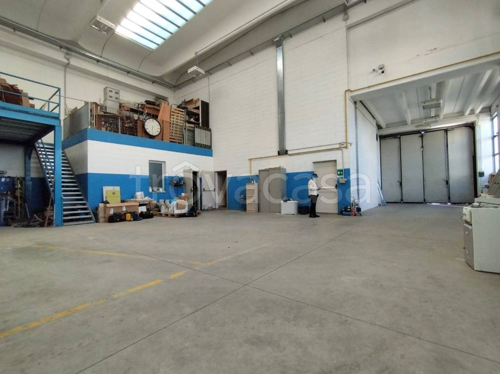 immagine annuncio 13 di 15