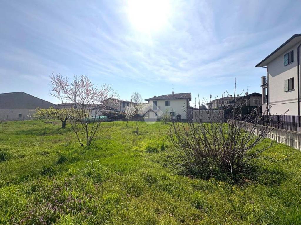 immagine annuncio 1 di 11